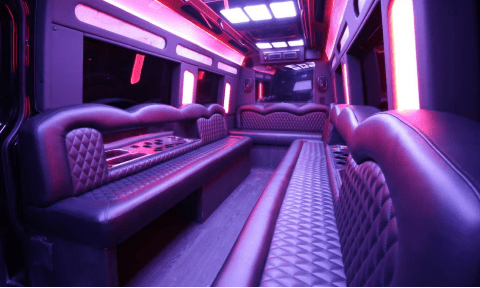 Kansas City 14 Passenger Sprinter Bus Interior